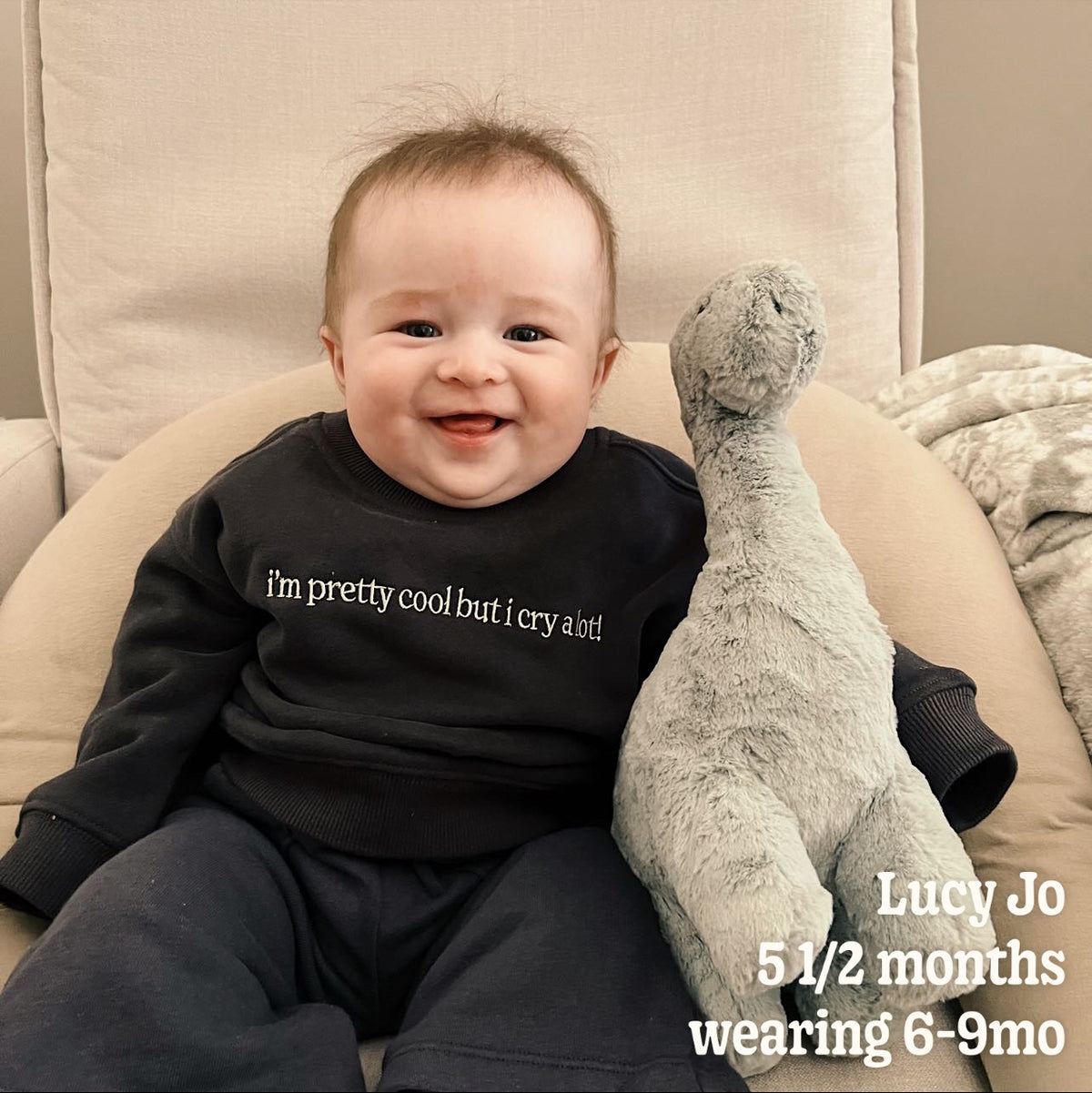 Mini Cry A Lot! (wipe tears here) Crewneck